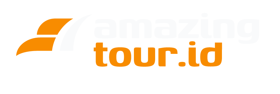 Logo Amazing Tour